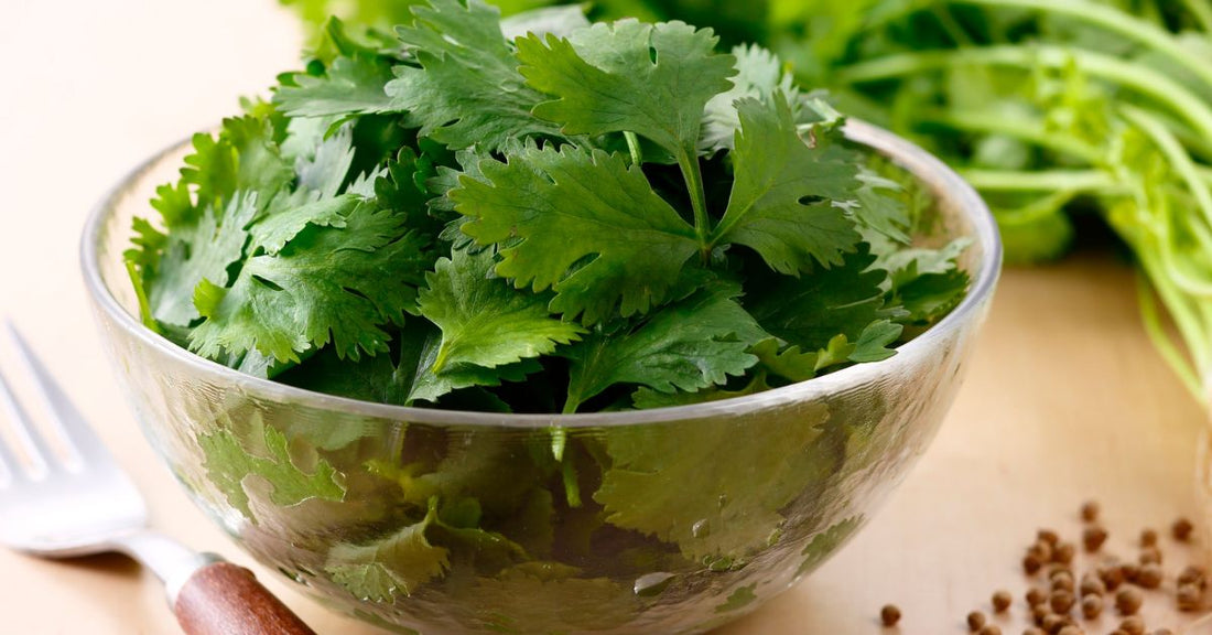 A bowl of cilantro sits on a wooden surface.