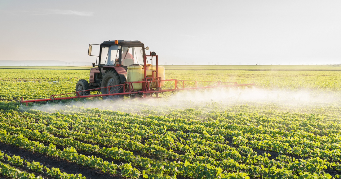 A large field of crops is sprayed with herbicide.