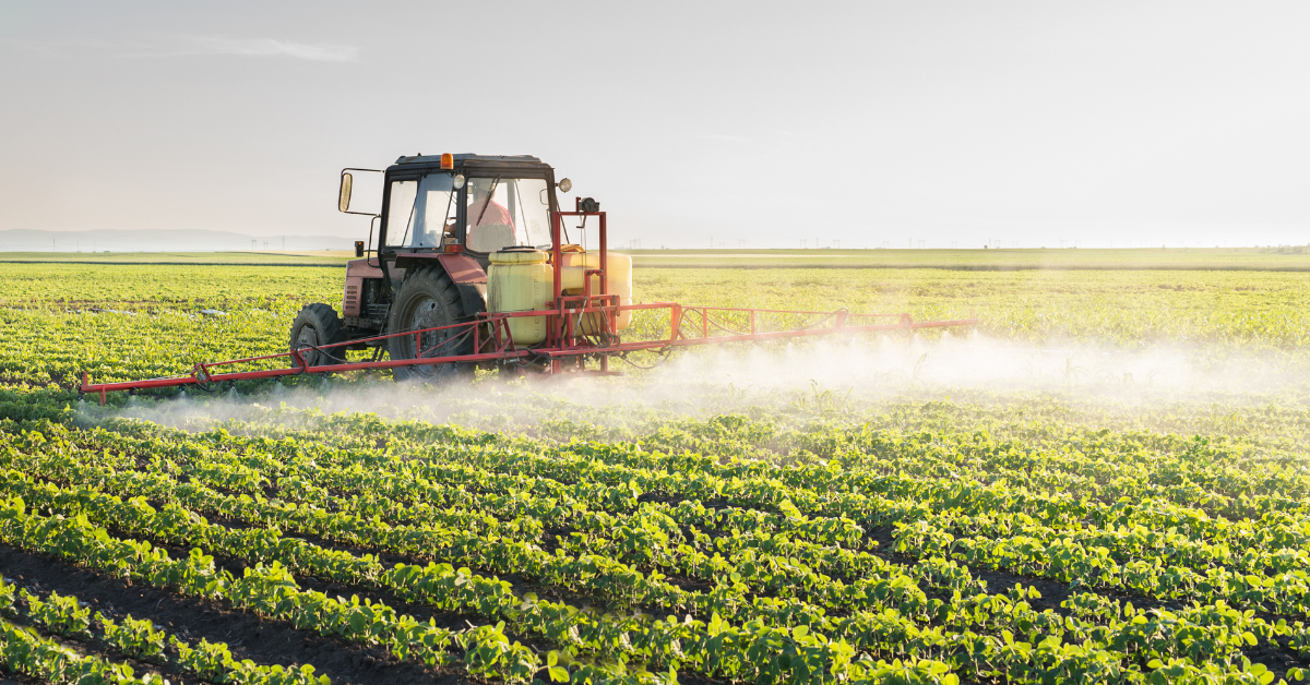 A large field of crops is sprayed with herbicide.