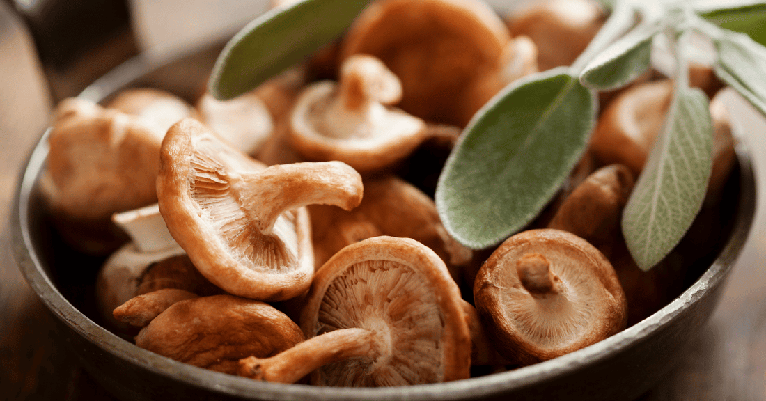 A plate of shiitake mushrooms.