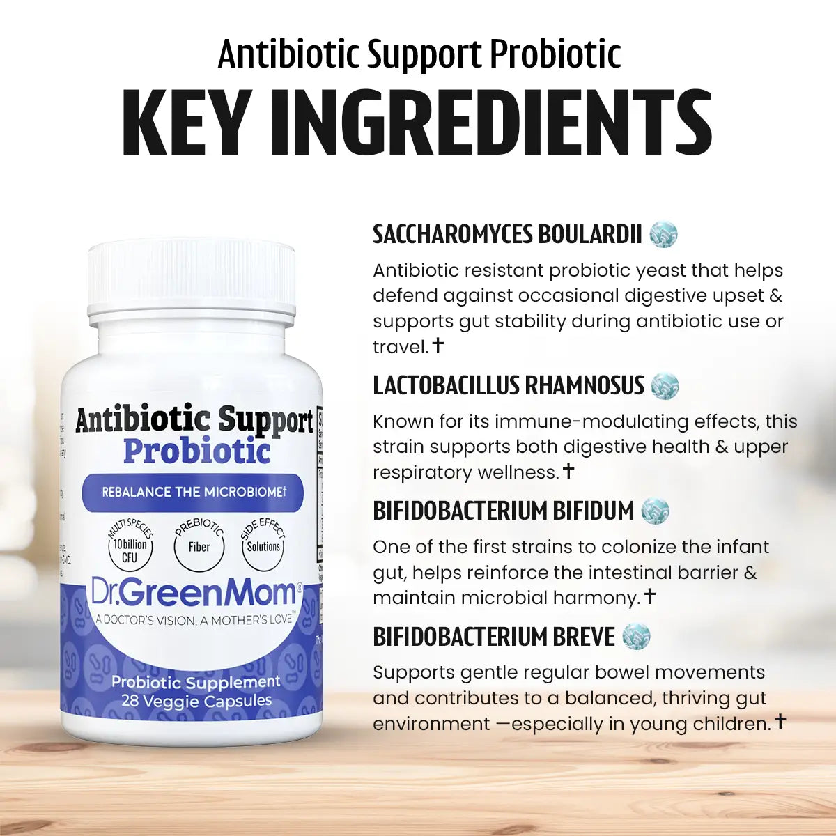 Antibiotic Support Probiotic