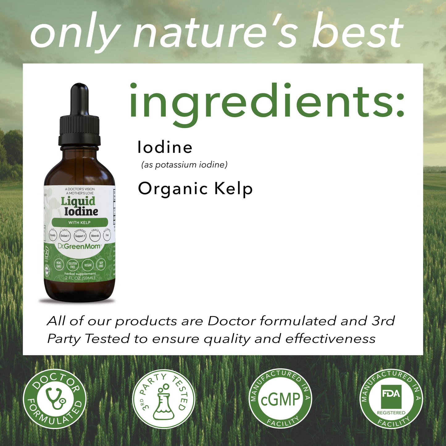 Liquid Iodine with Organic Kelp Kids Adults Dr. Green Life