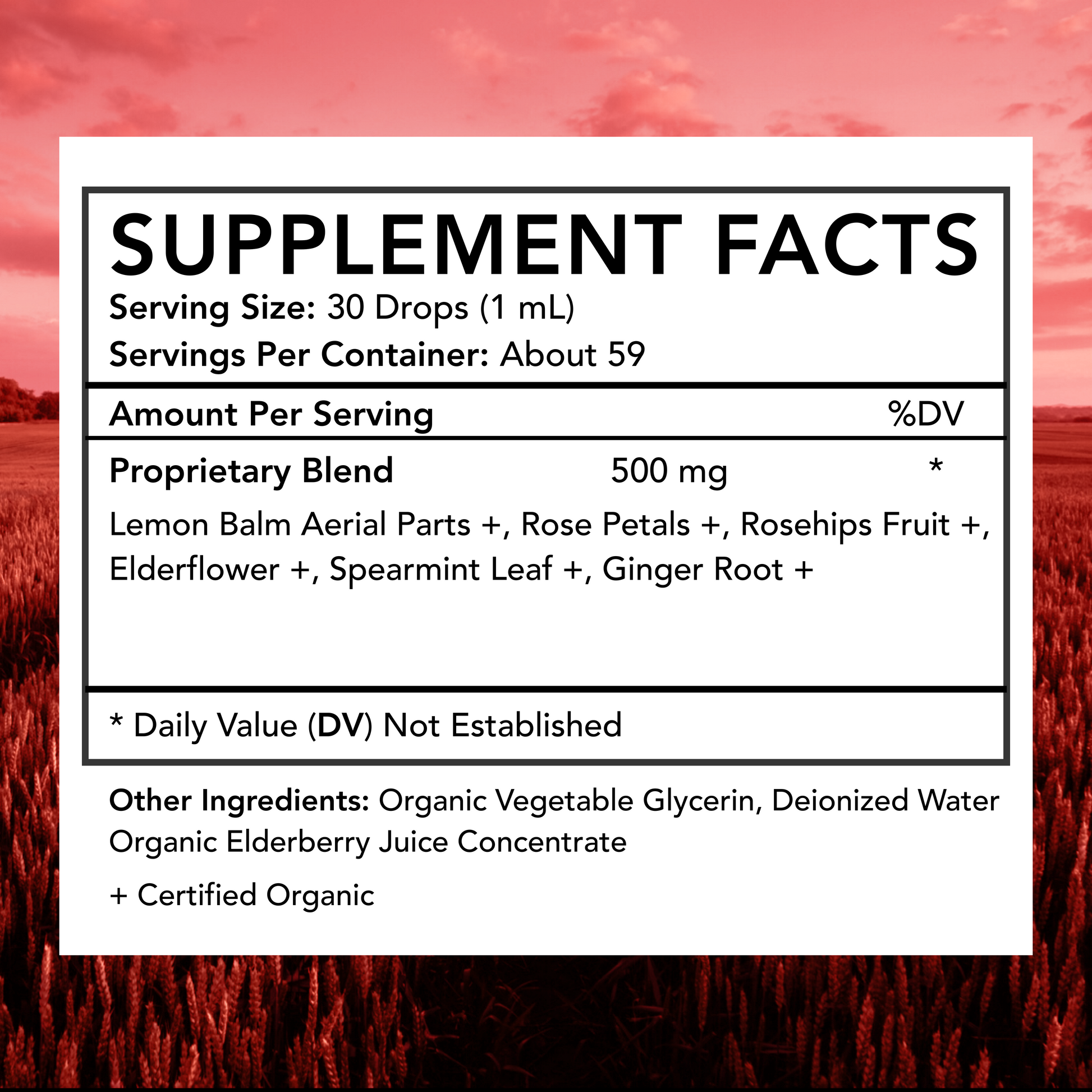 Mother's Temperature Tamer™