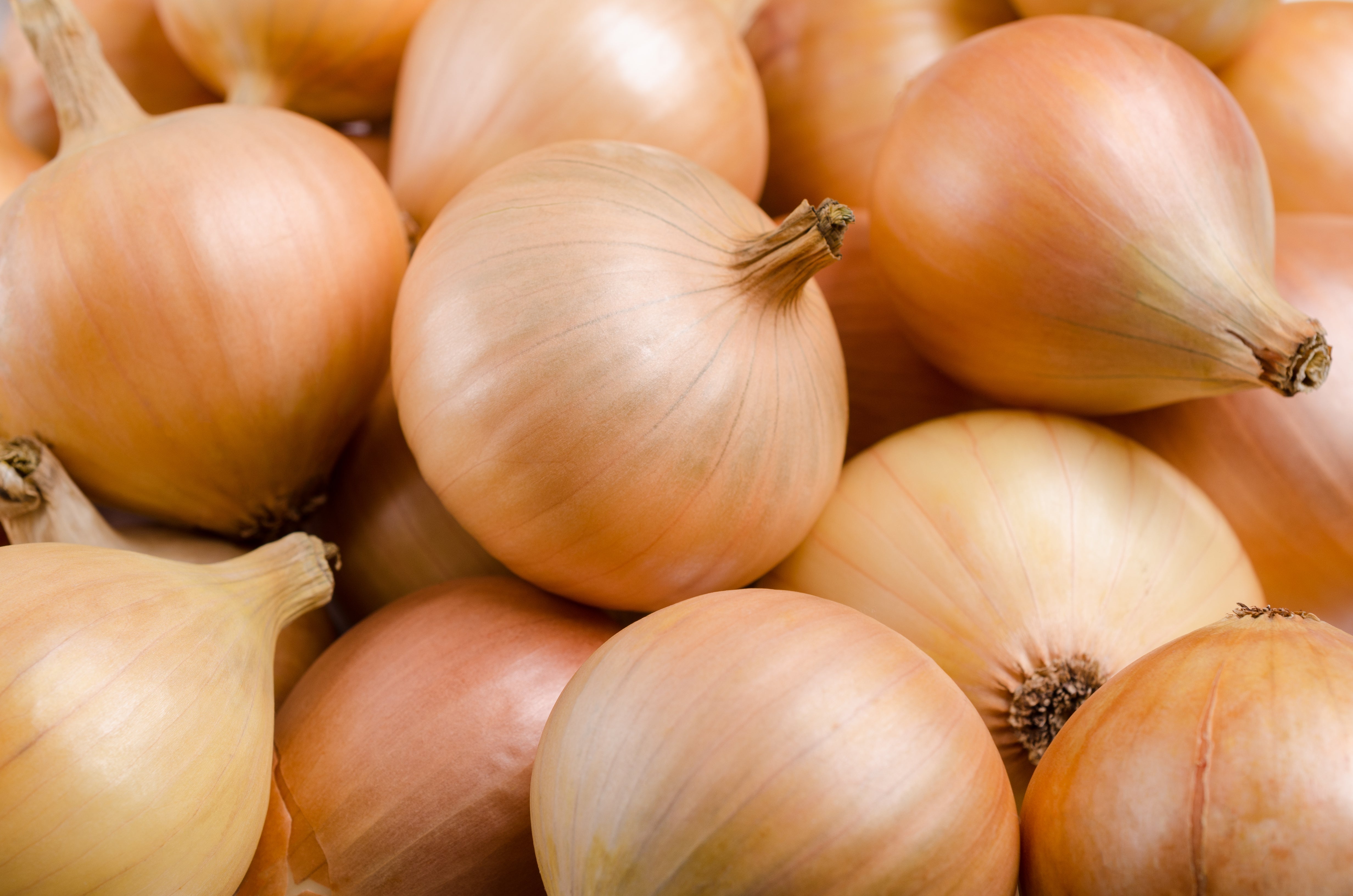 Onion